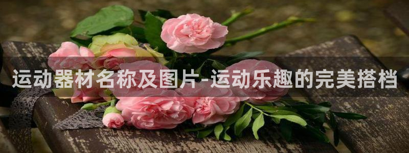 凯捷体育联系电话:运动器材名称及图片-运动乐趣的完美搭档
