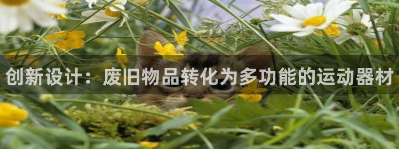 凯捷体育平台是正规平台吗安全吗:创新设计:废旧物品转化为多功